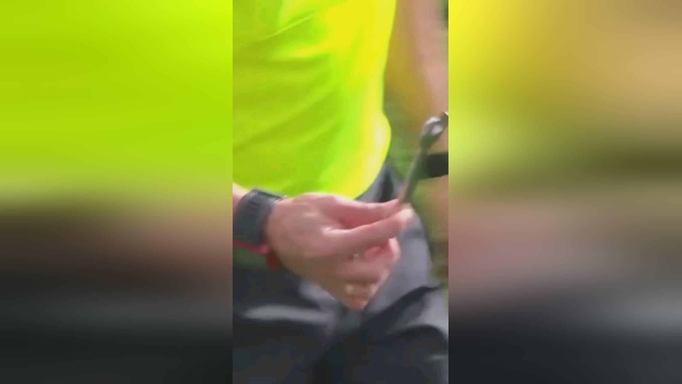 曼联明星鲁